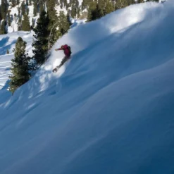 Arbor Ladies Marie-France Roy Sequoia Limited Edition Snowboard Bindings 2021-2022 19 Arbor Ladies Marie-France Roy Sequoia Limited Edition Snowboard Bindings 2021-2022 -Cheap Salomon Store New ARBOR 12W sequoia mfr ltd w binding 12w865414298