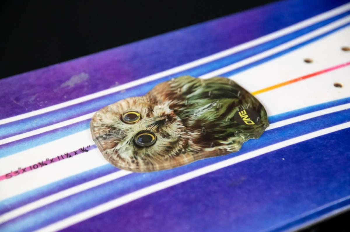 Oneball Owl Stomp Pad 2022-2023 4 Oneball Owl Stomp Pad 2022-2023 - Image 4