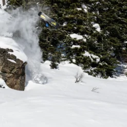 Lib Tech T.Rice Golden Orca Snowboard 2022-2023 -Cheap Salomon Store travis rice golden orca snowboard natural selection